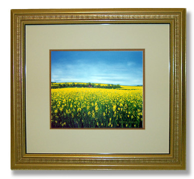 YellowFieldGF.jpg (52918 bytes)